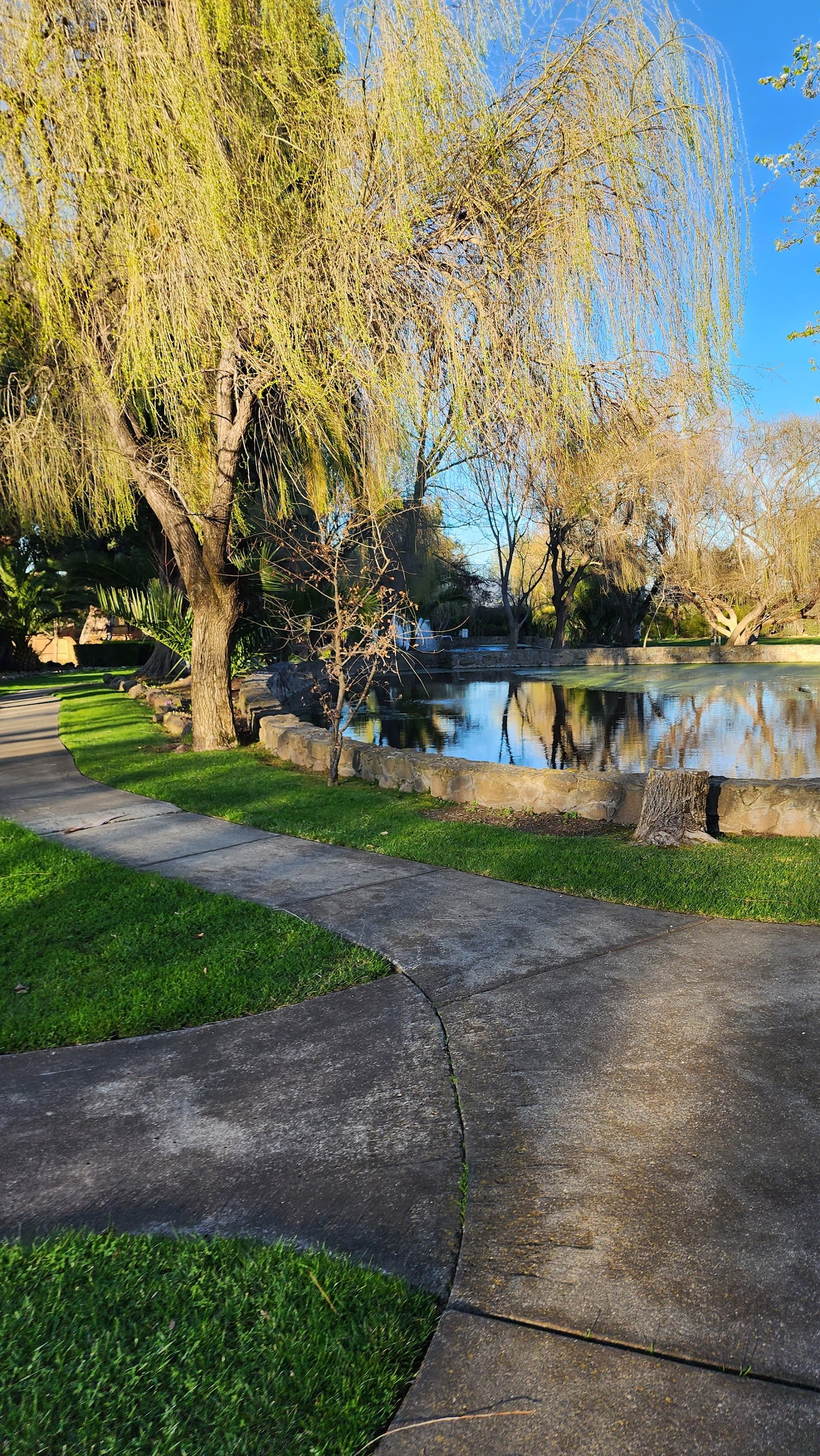 Cline Family Cellars photo 2