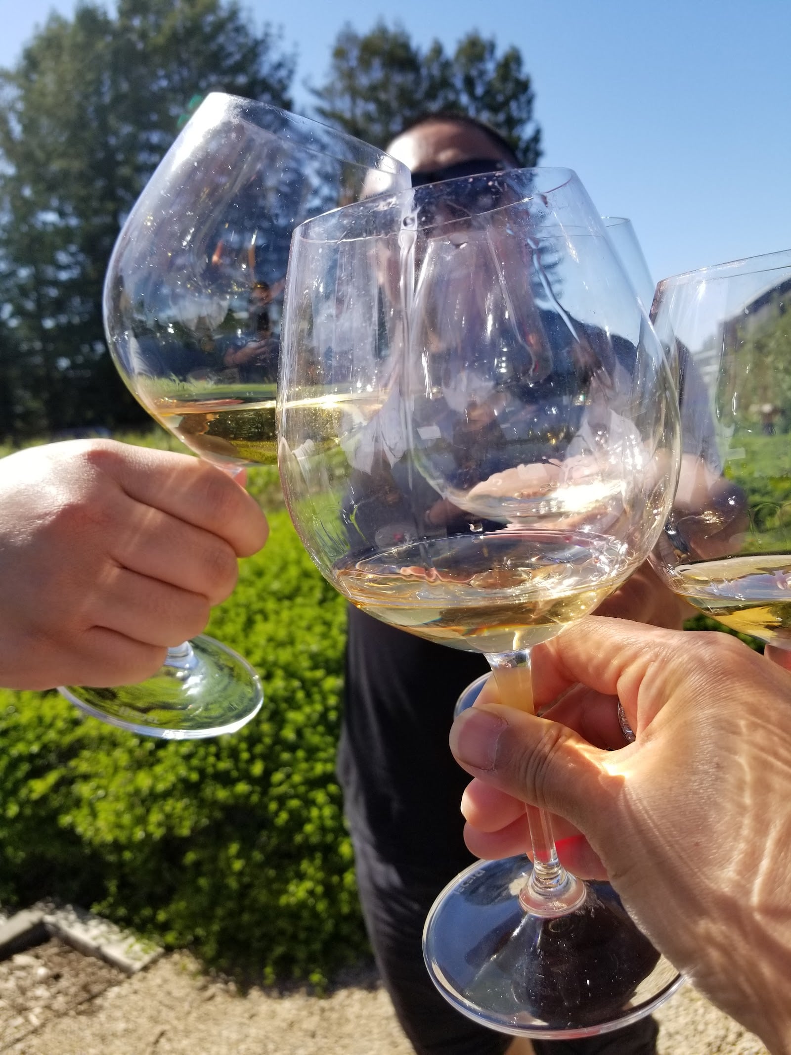 DeLoach Vineyards photo 2