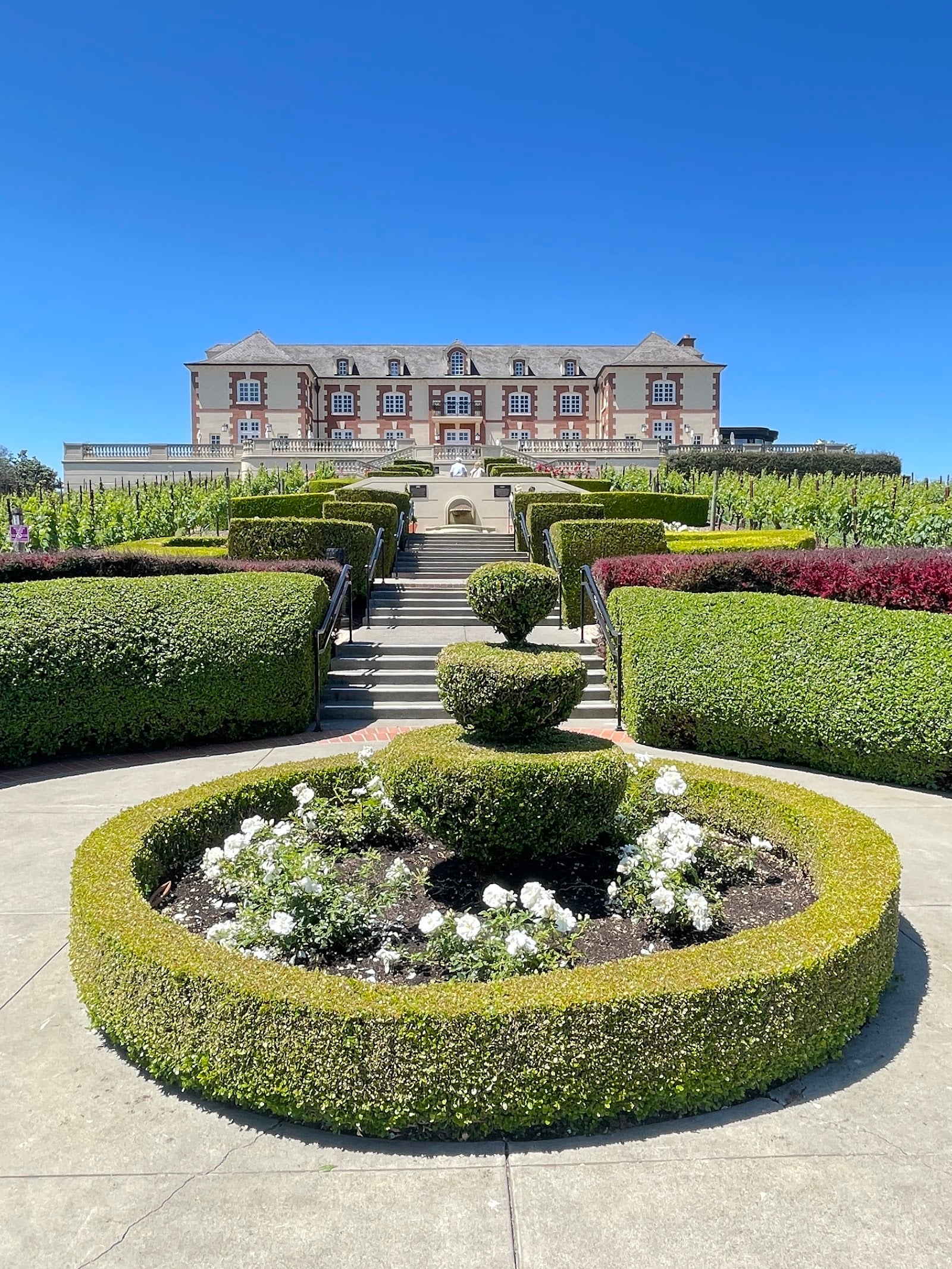 Domaine Carneros photo 2