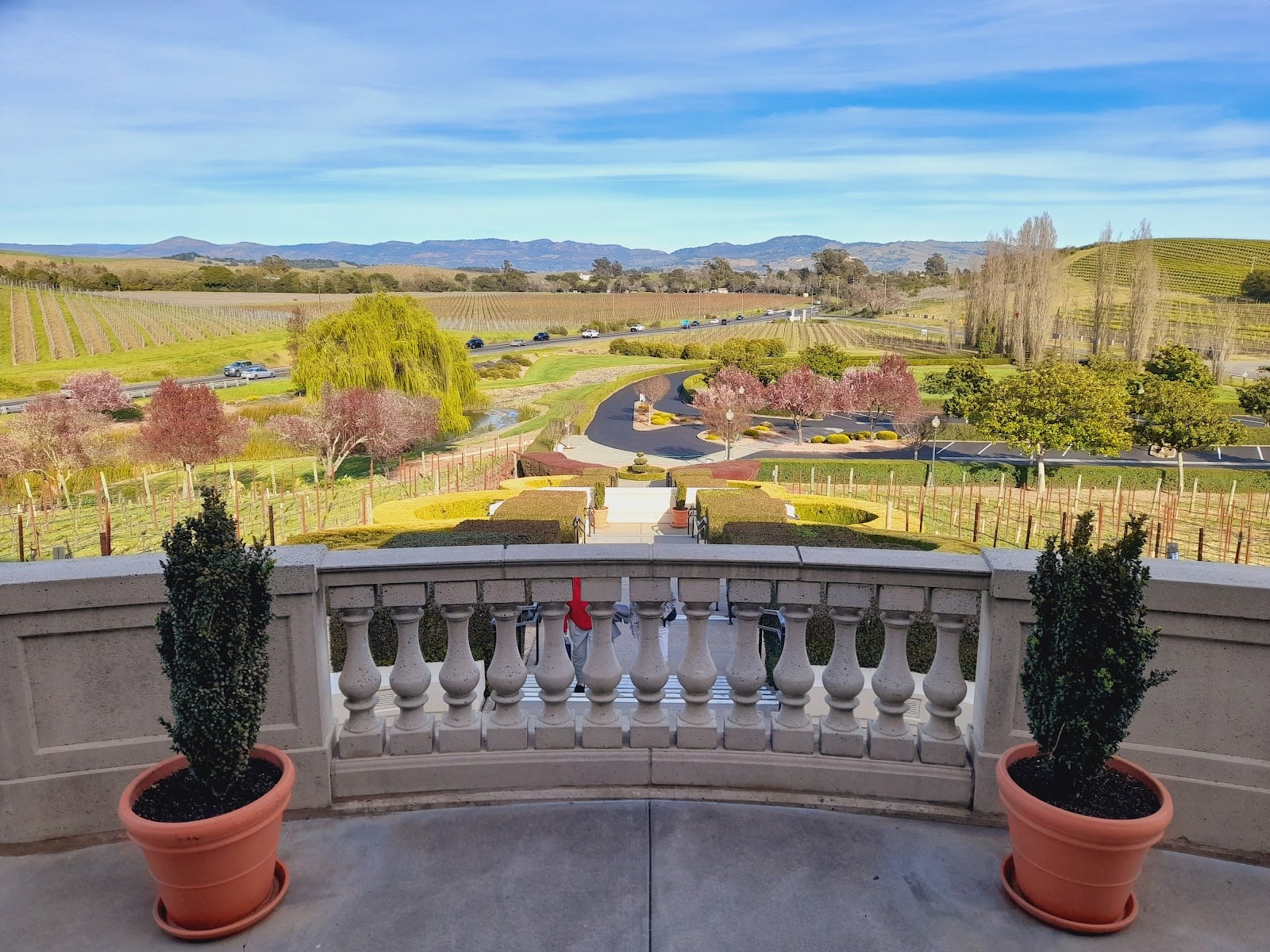 Domaine Carneros photo 8