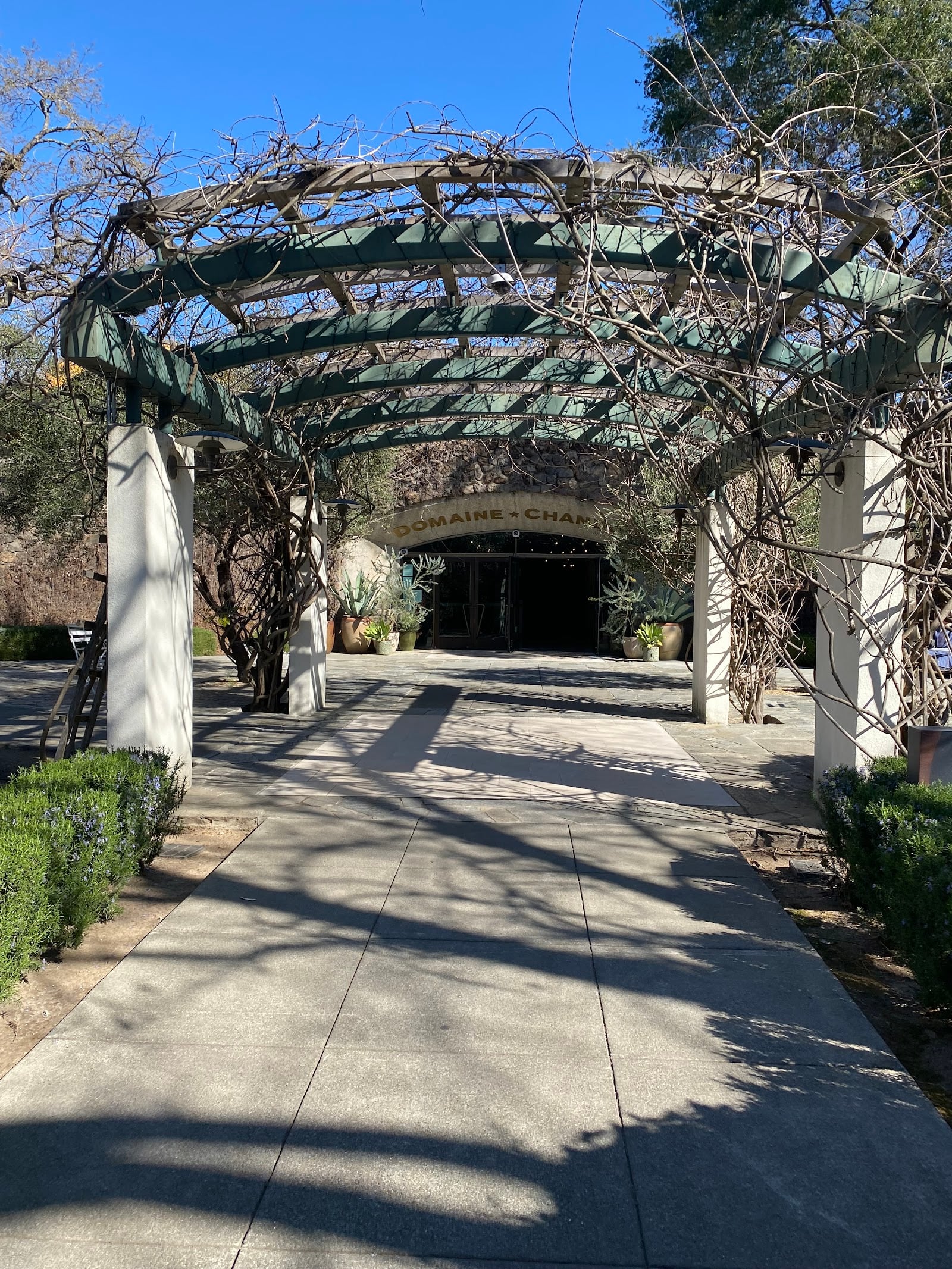 Domaine Chandon photo 6