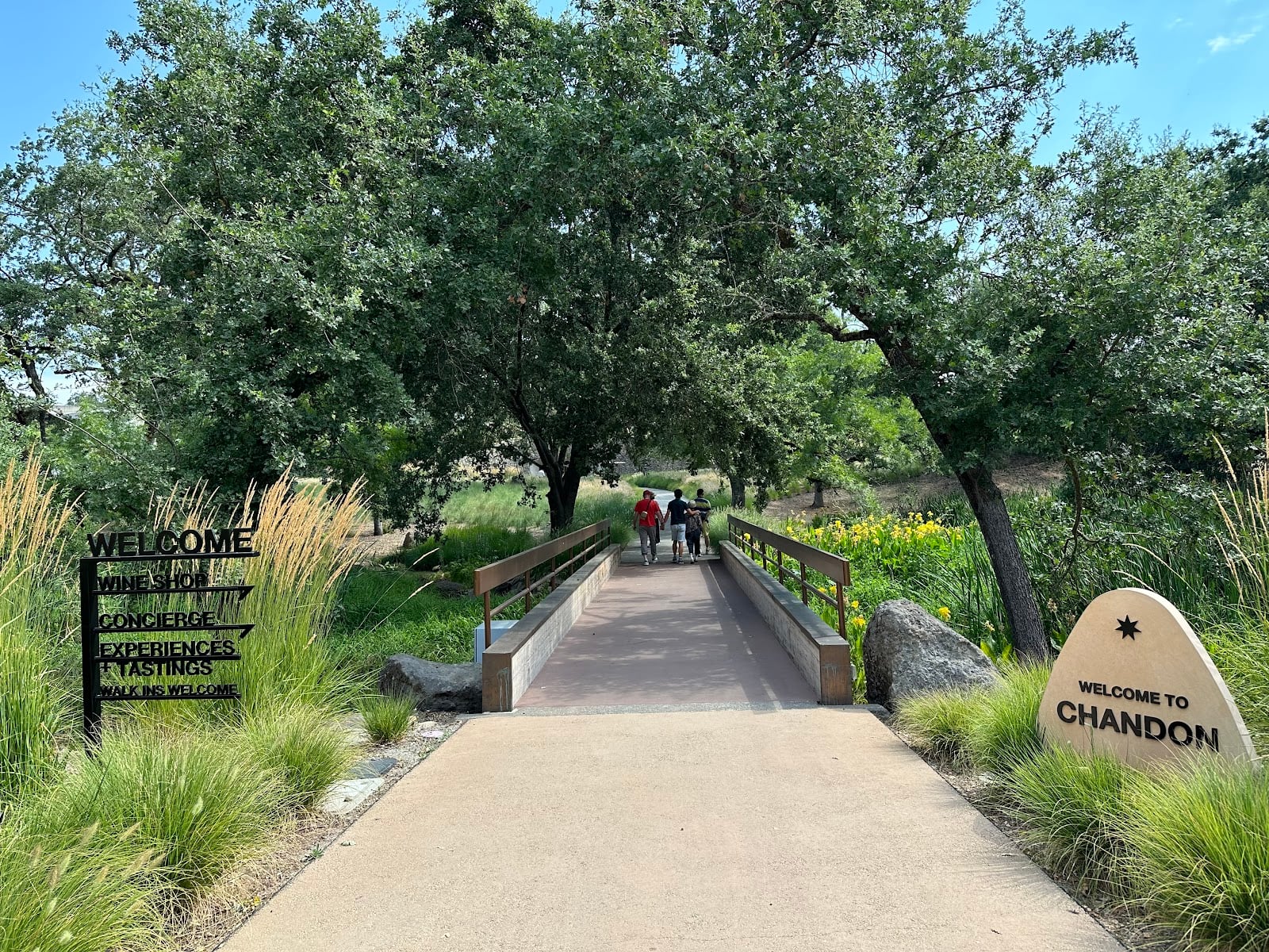 Domaine Chandon photo 2