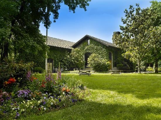 Dry Creek Vineyard photo 1