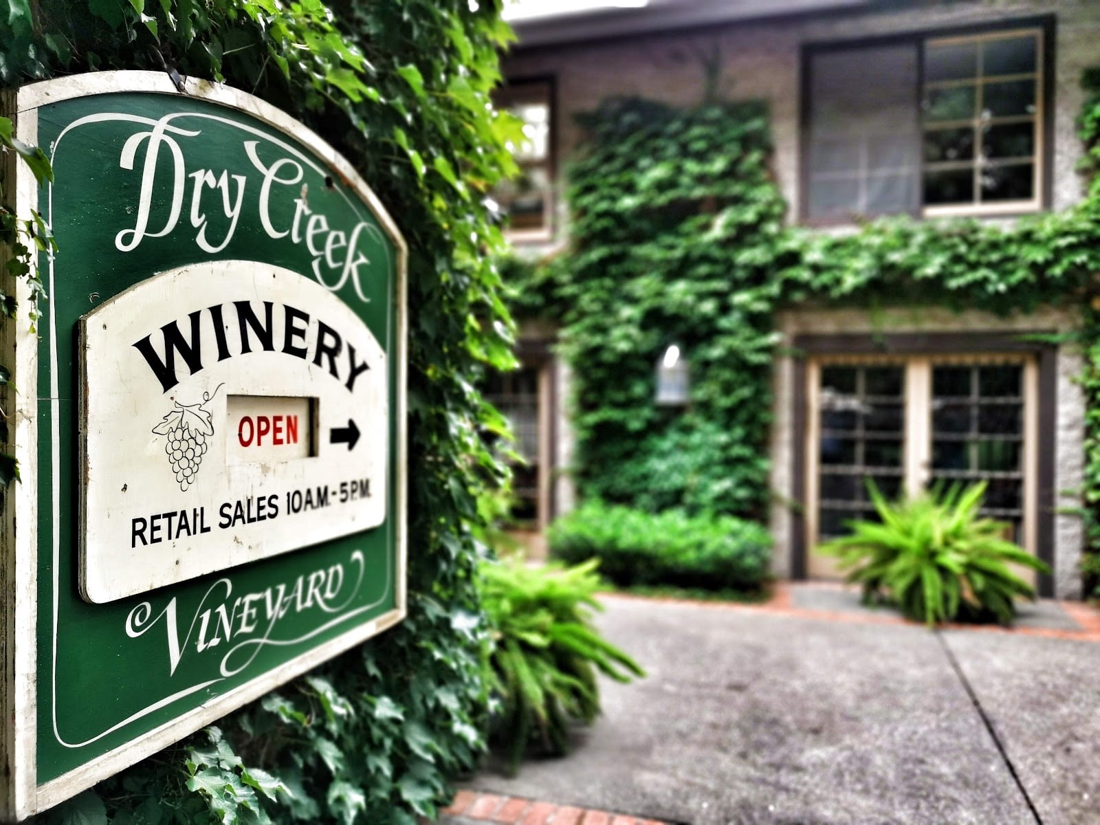 Dry Creek Vineyard photo 2