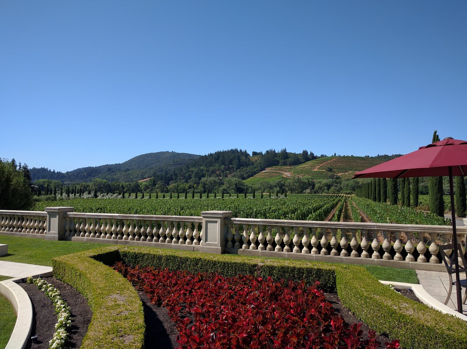 Ferrari-Carano Vineyards photo 2