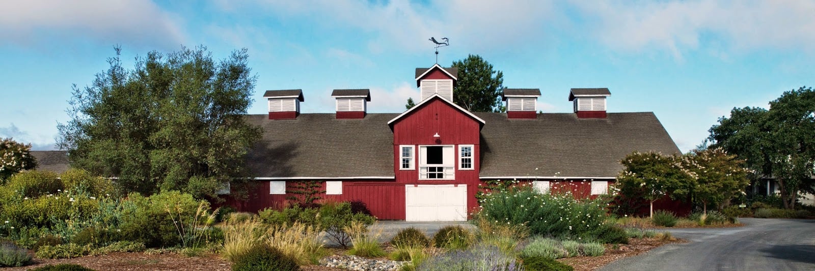 Frog's Leap Winery photo 1