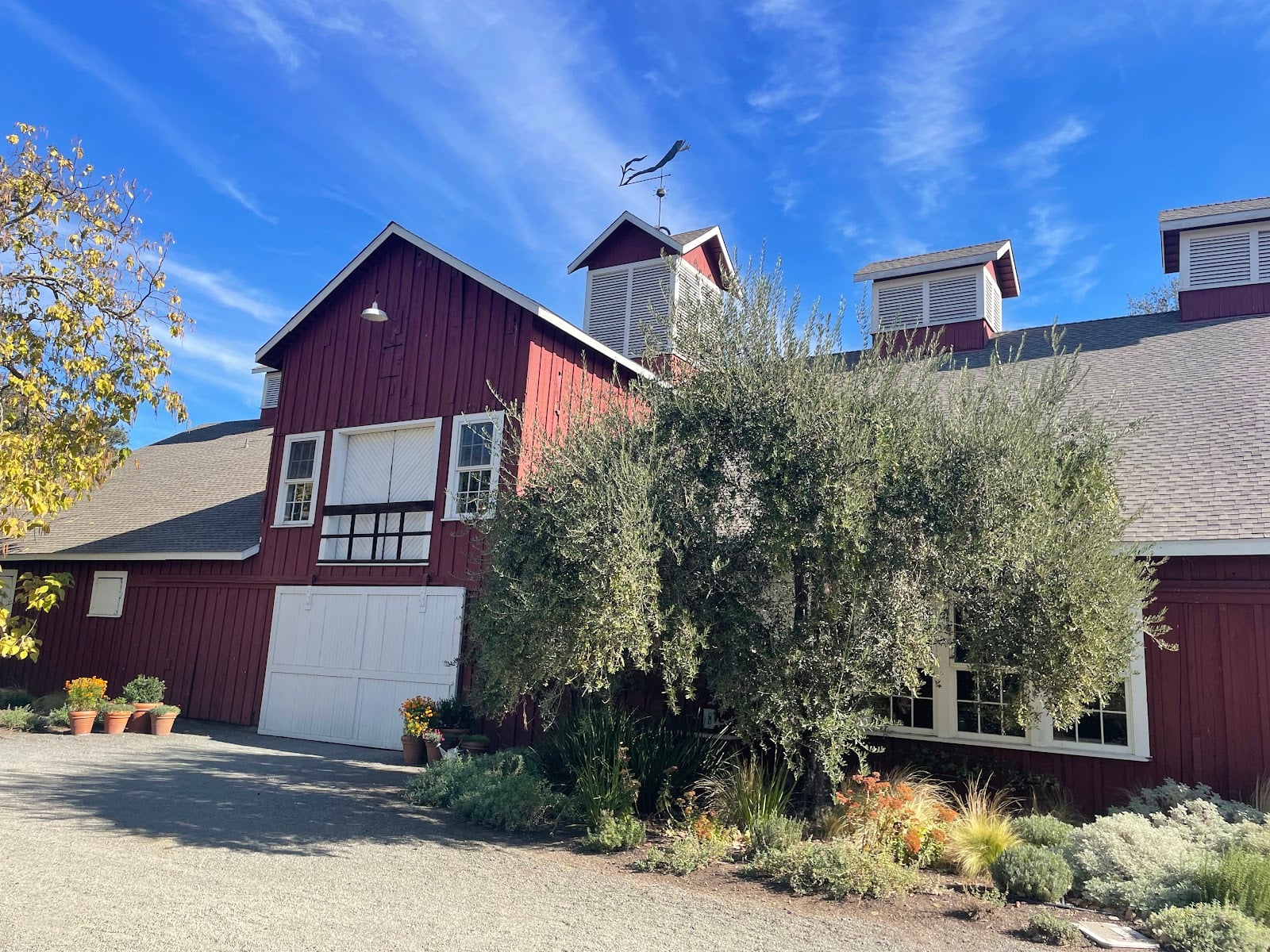 Frog's Leap Winery photo 8