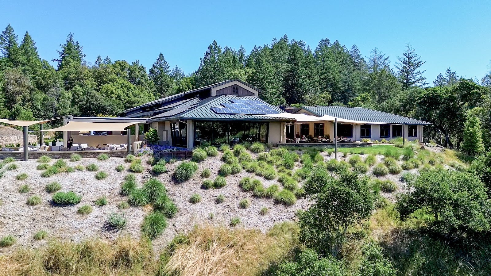 Gary Farrell Vineyards photo 1