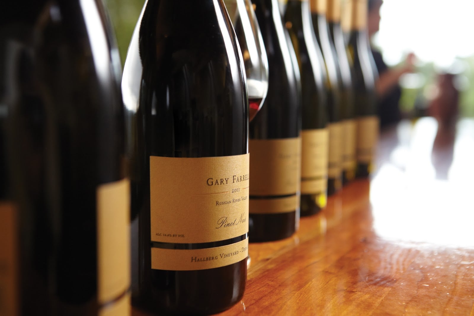 Gary Farrell Vineyards photo 8