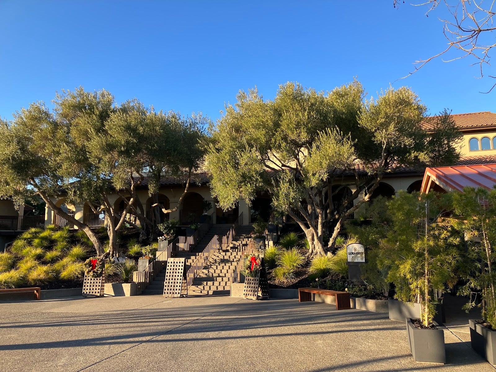 Gloria Ferrer Caves & Vineyards photo 2