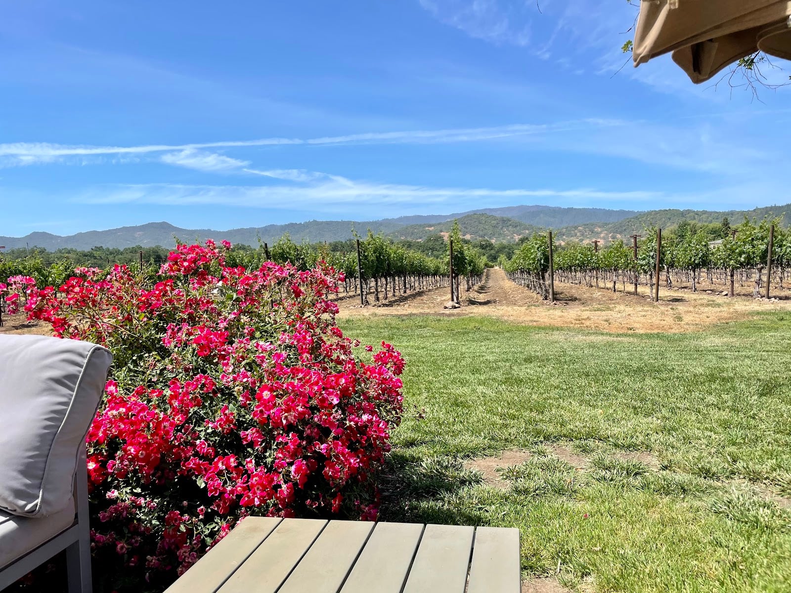 Goosecross Cellars photo 6