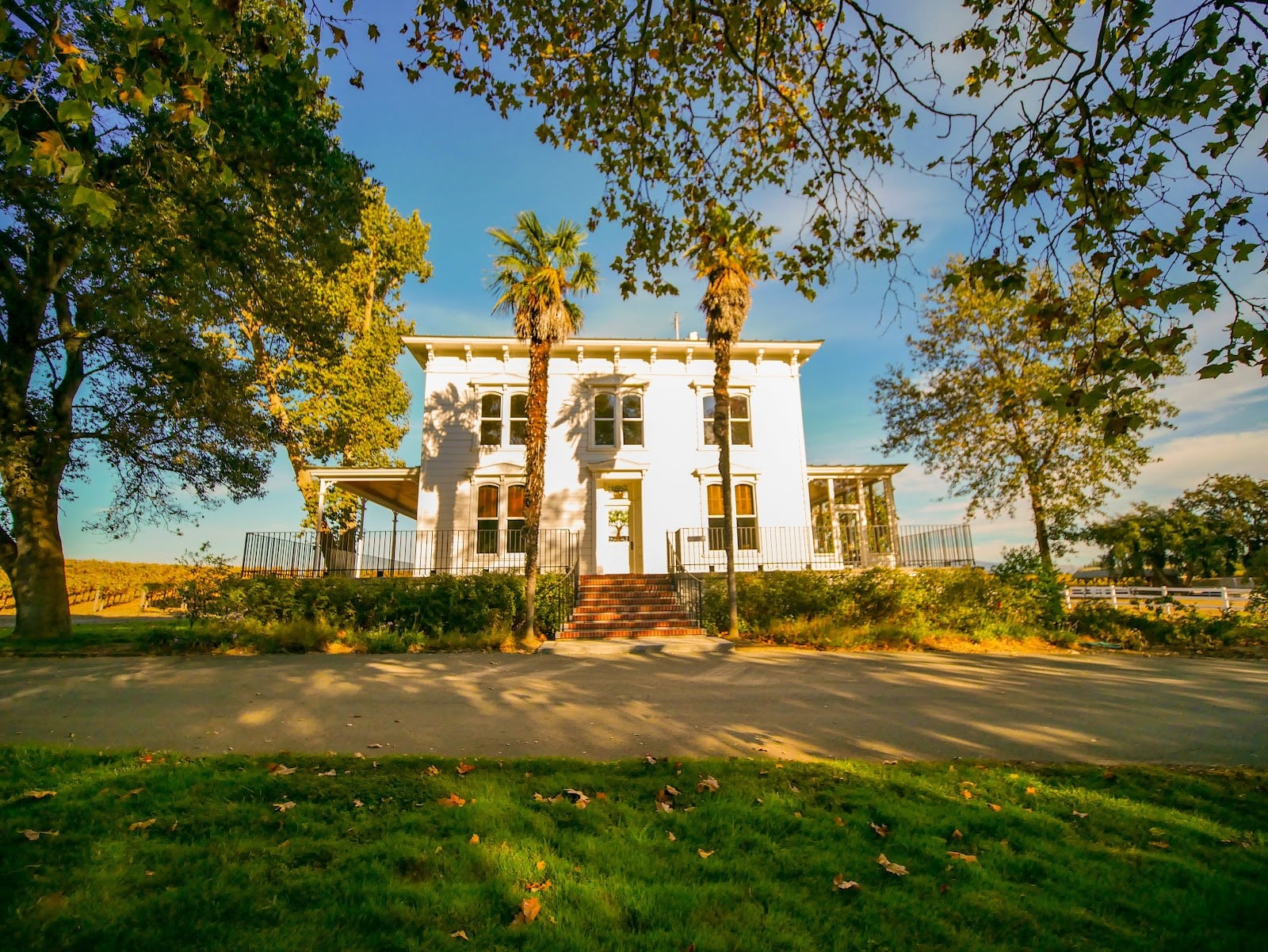 Hendry Winery photo 2