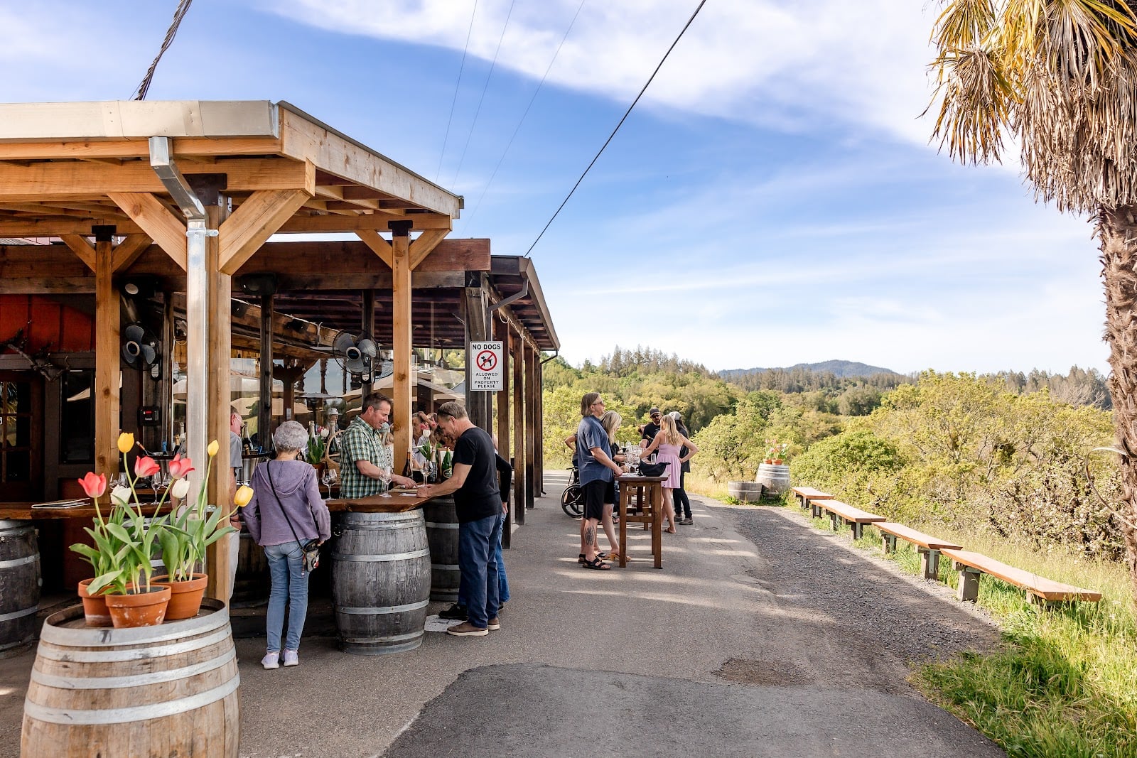 Iron Horse Vineyards photo 1