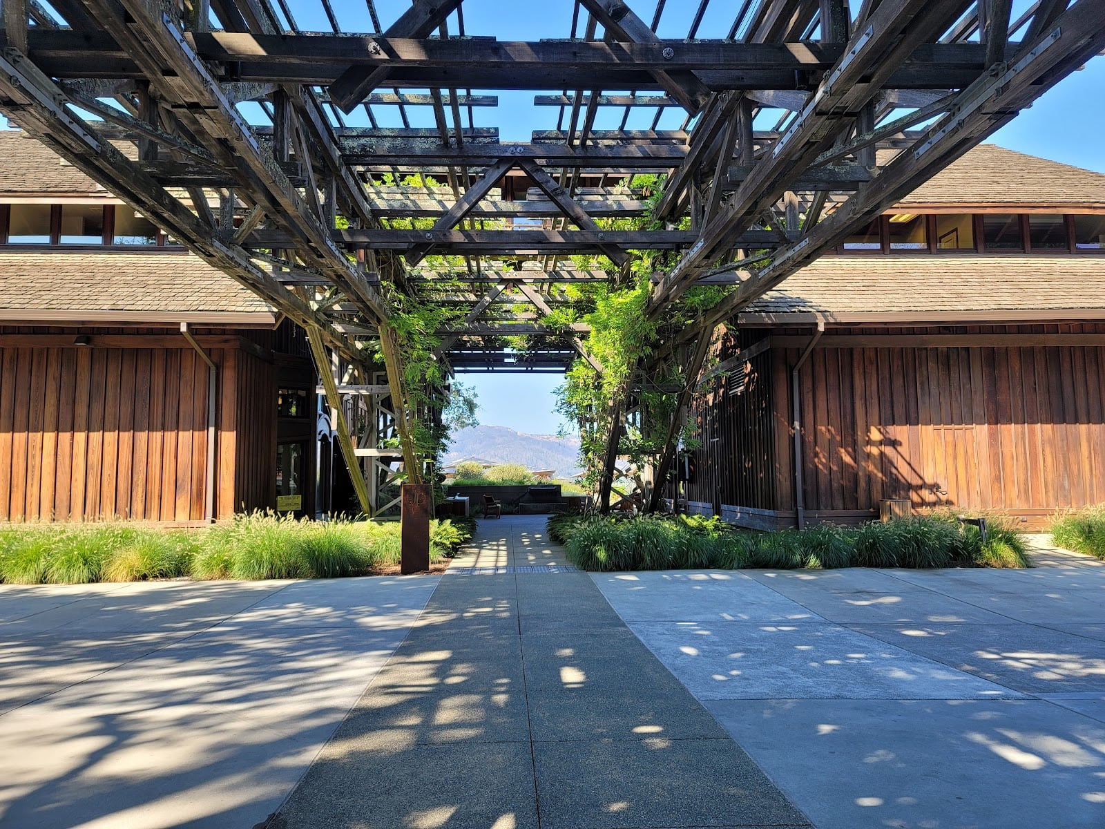 Joseph Phelps Vineyards photo 2