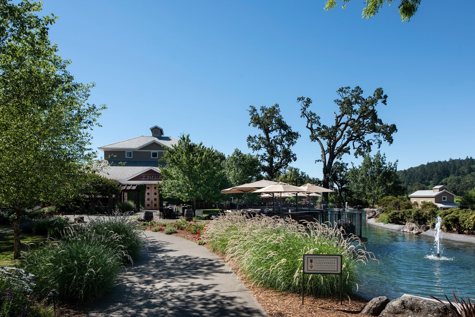 Kunde Family Winery photo 1