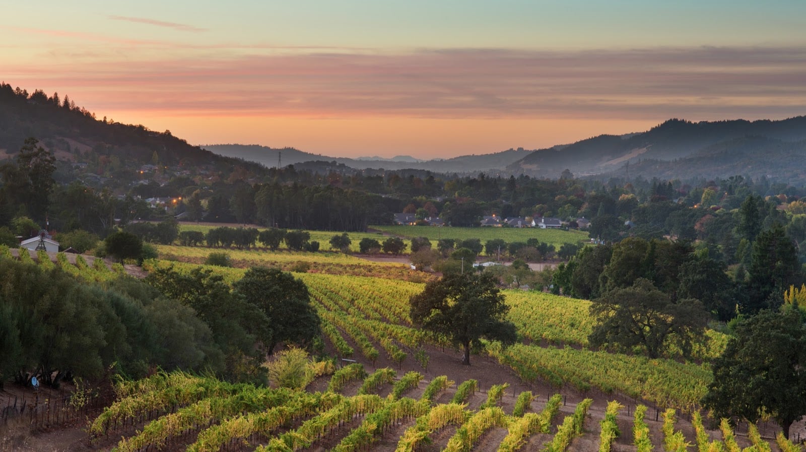 Landmark Vineyards photo 1