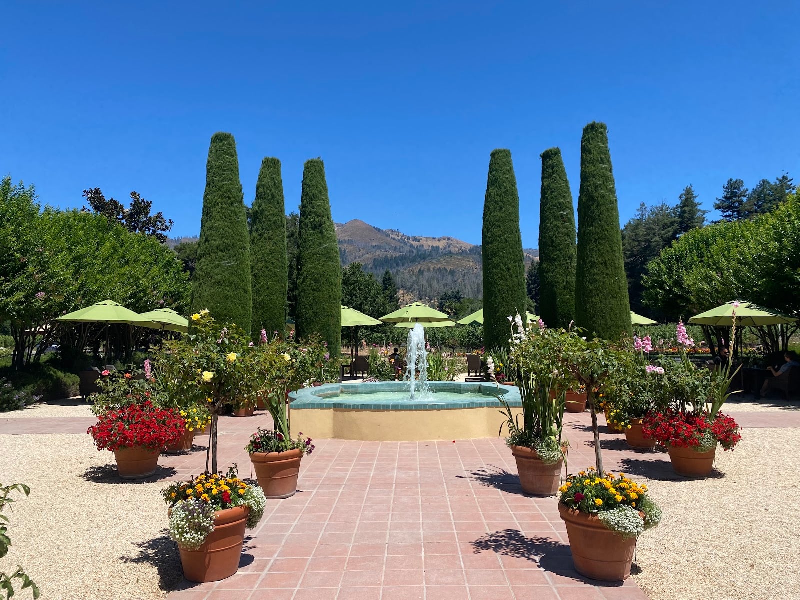 Landmark Vineyards photo 2