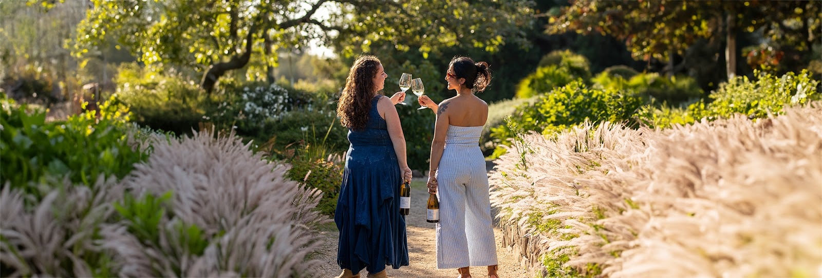 Matanzas Creek Winery photo 1