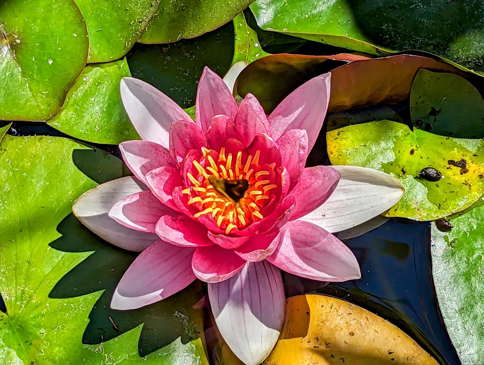 Matanzas Creek Winery photo 8