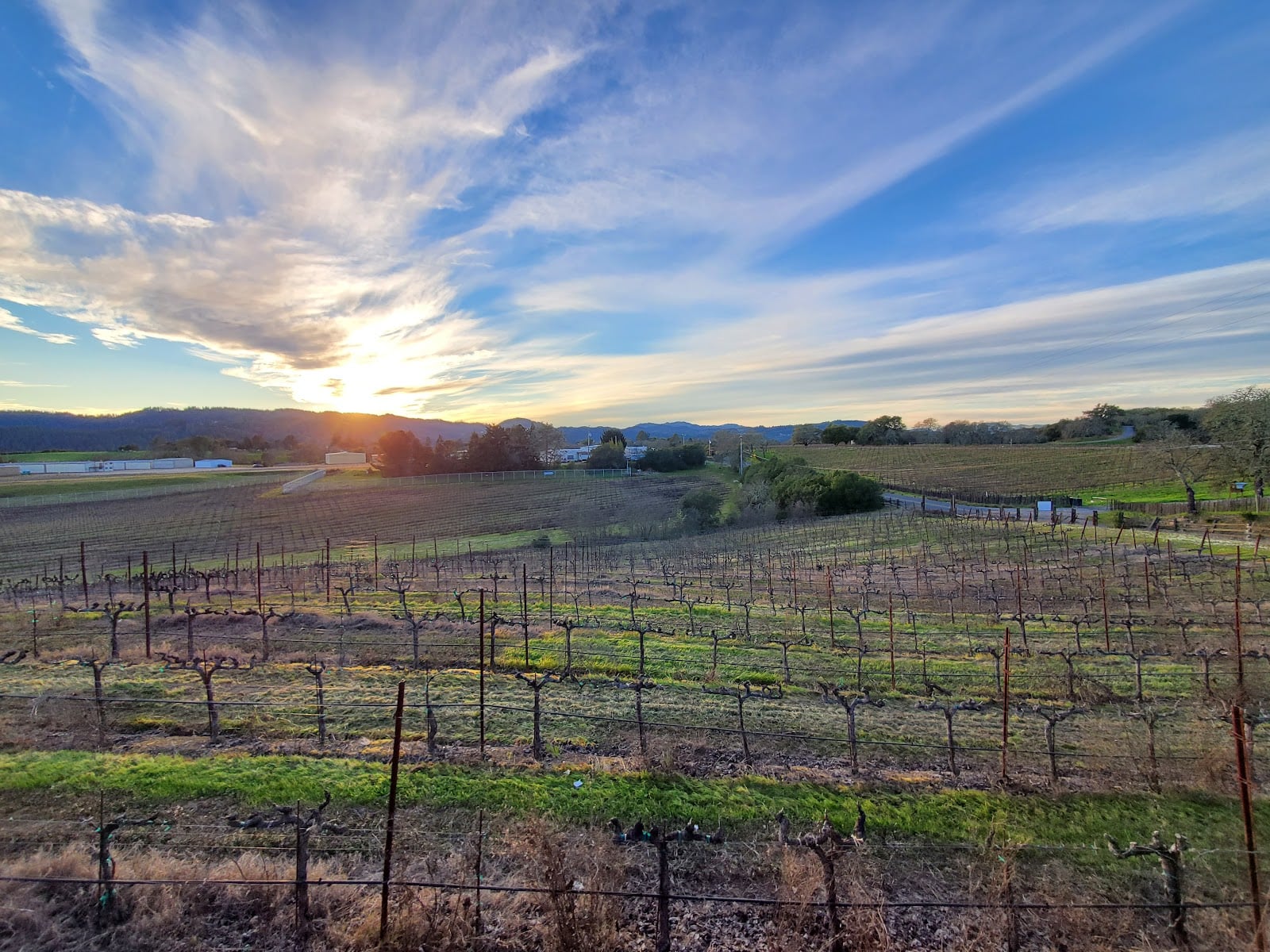 Mazzocco Sonoma photo 1