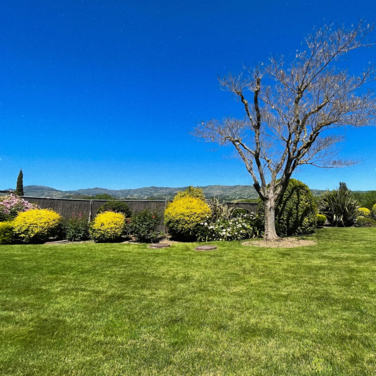 Monticello Vineyards photo 8