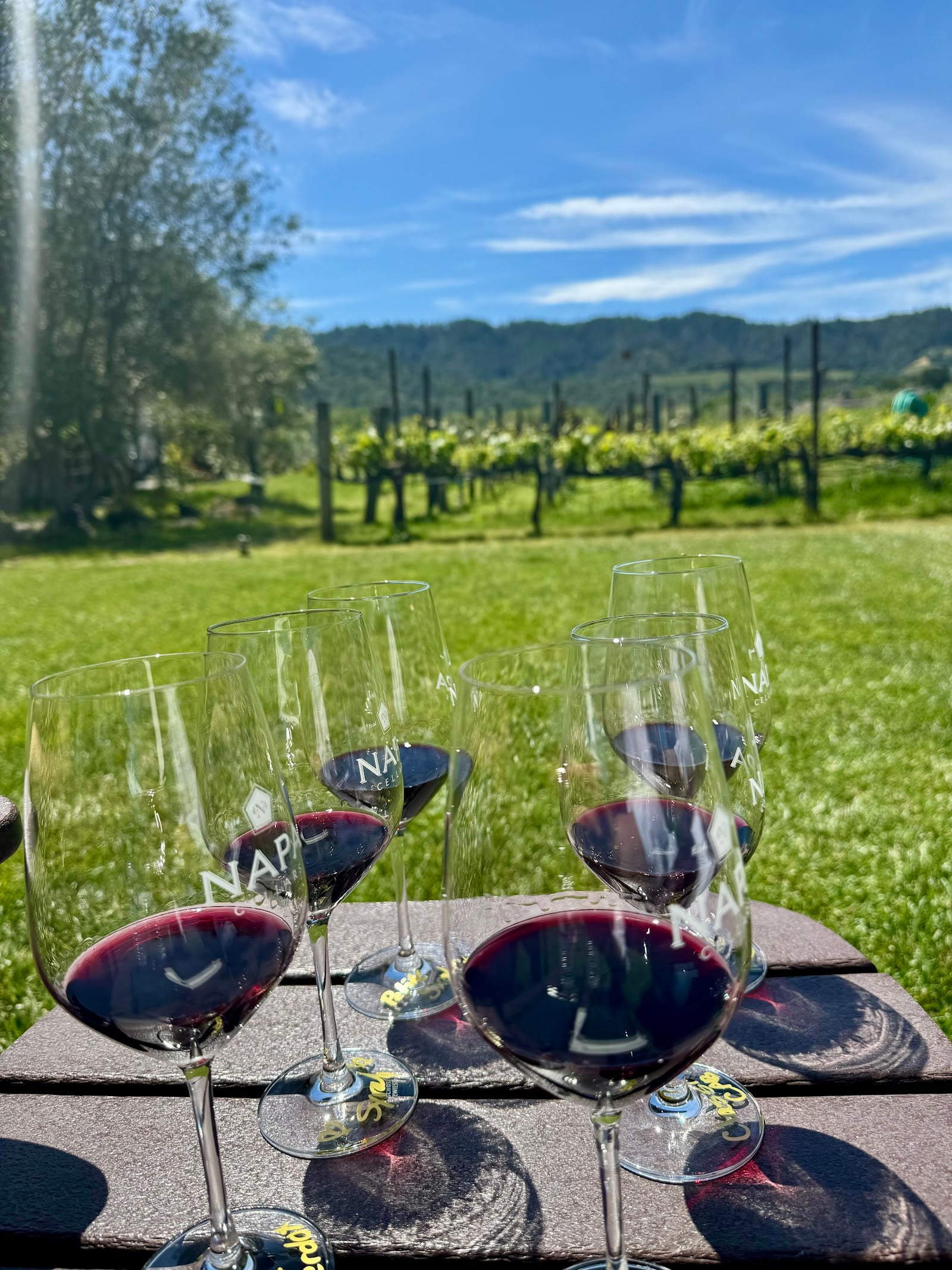 Napa Cellars photo 9