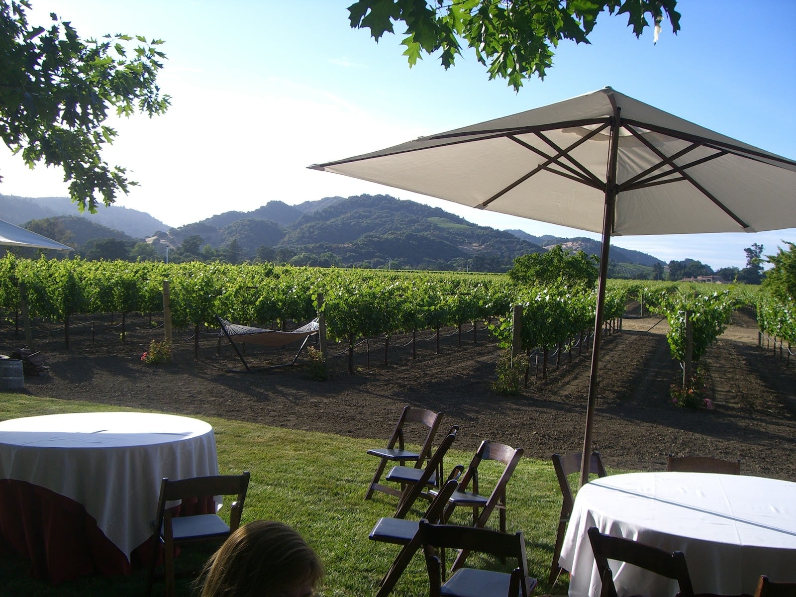 O'Brien Estate Winery photo 1