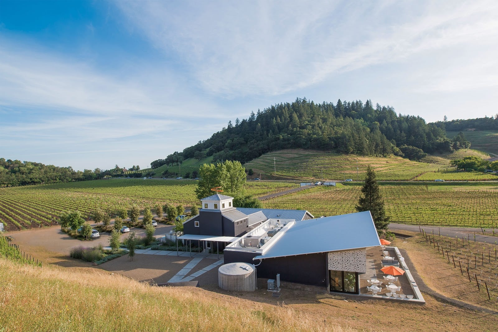 Odette Estate Winery — Dog-Friendly Wineries in the Stags Leap District