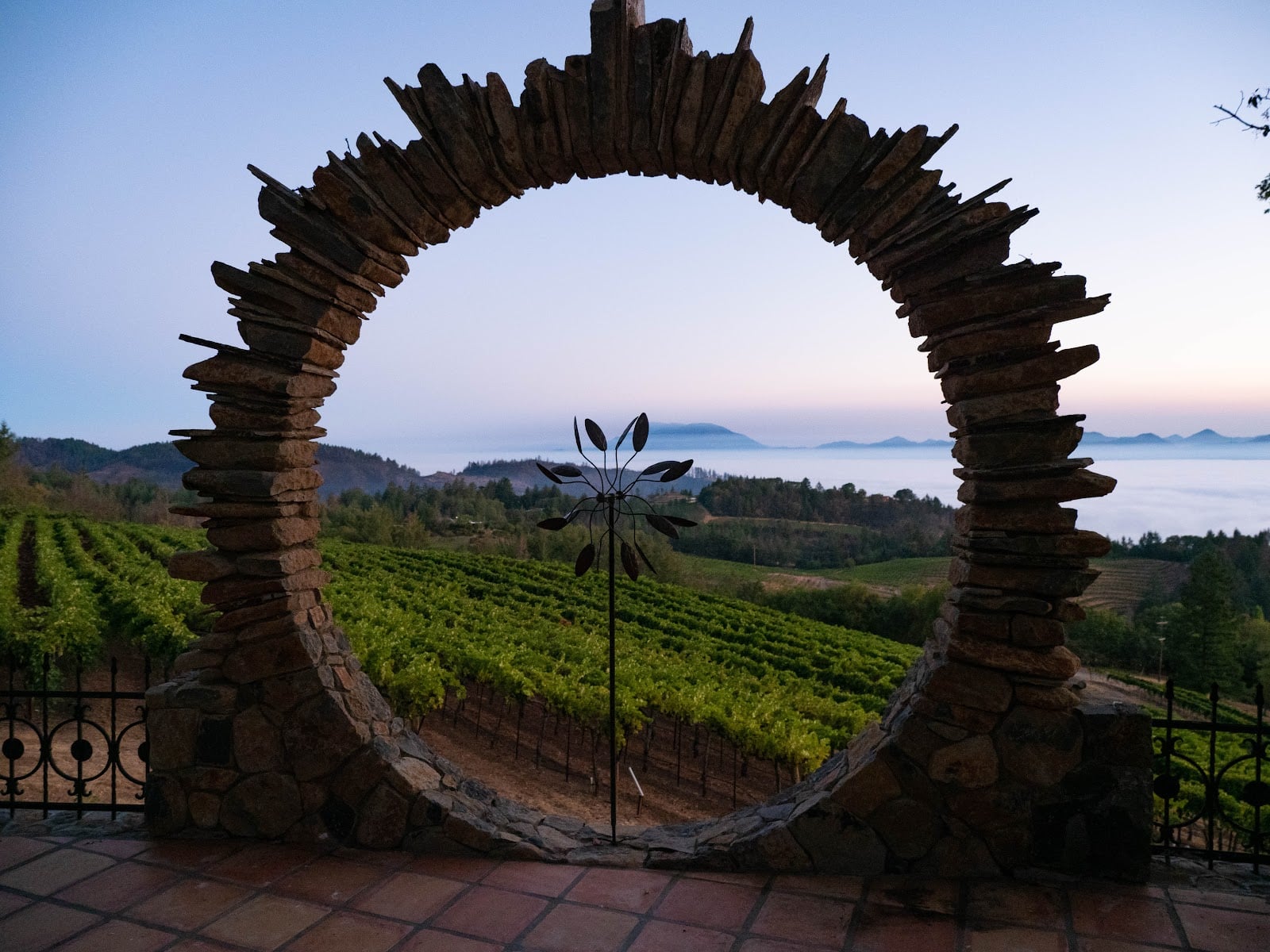 Paloma Vineyard photo 1