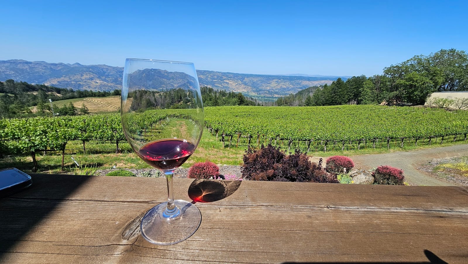 Paloma Vineyard photo 2