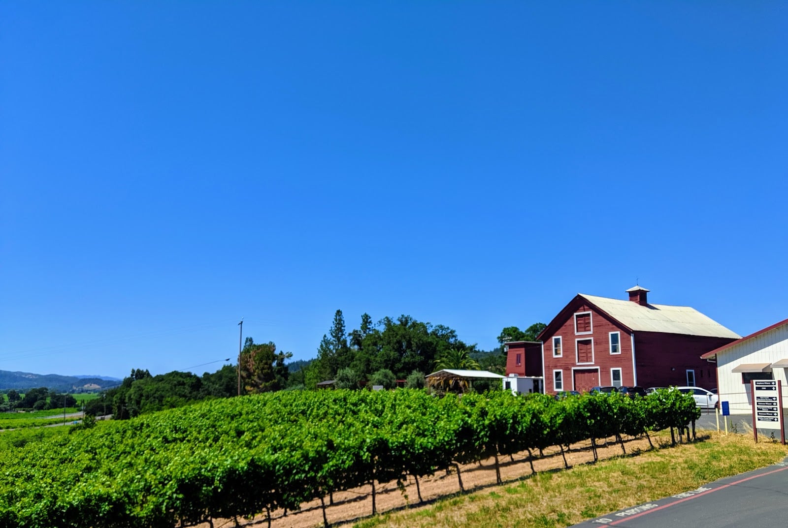 Papapietro Perry Winery photo 2