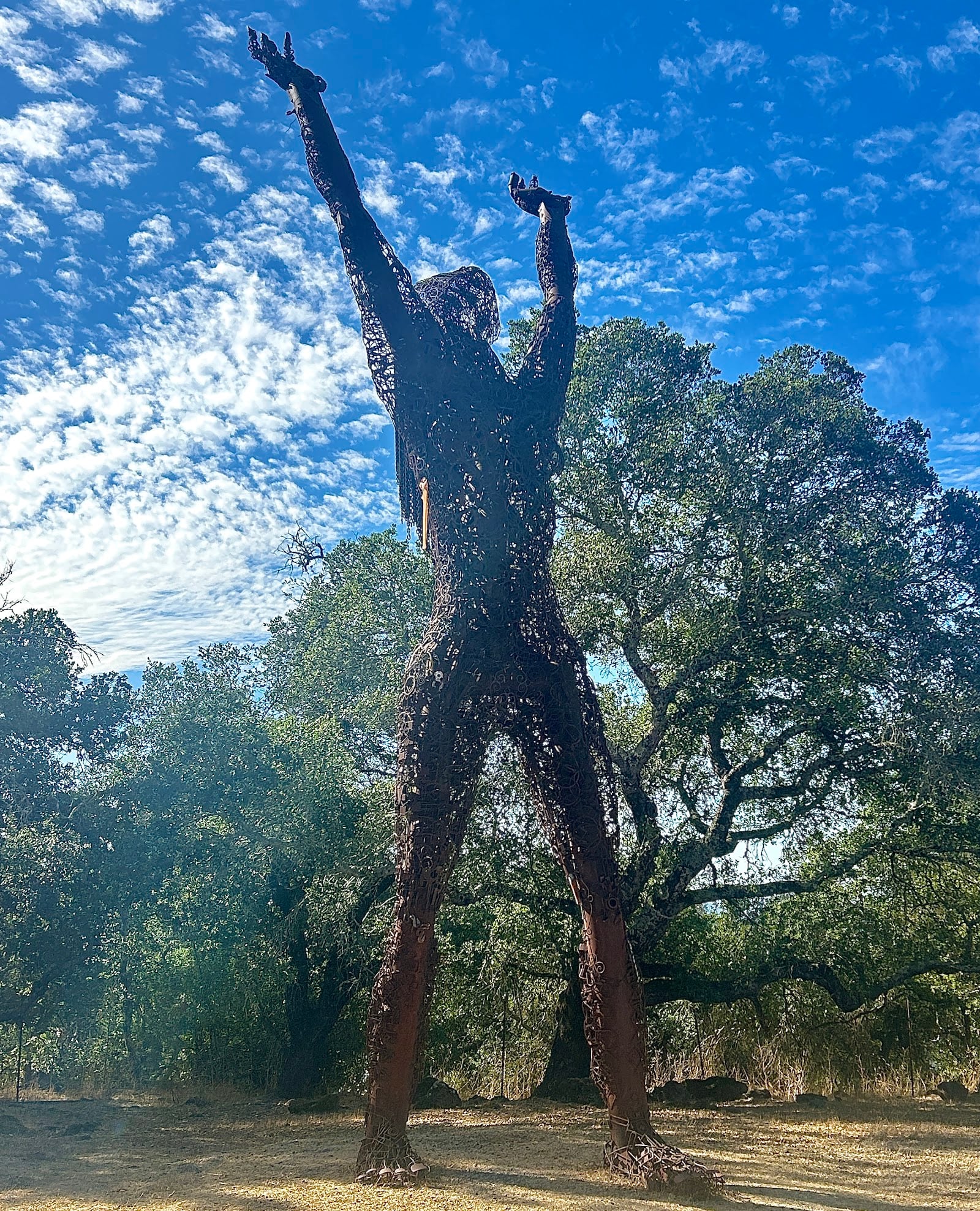 Paradise Ridge Winery photo 8