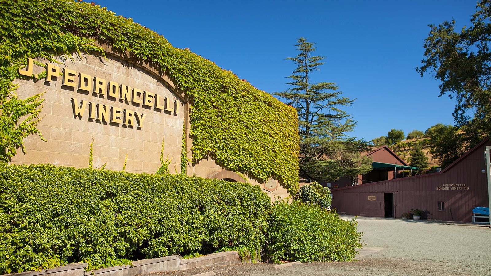 Pedroncelli Winery photo 1