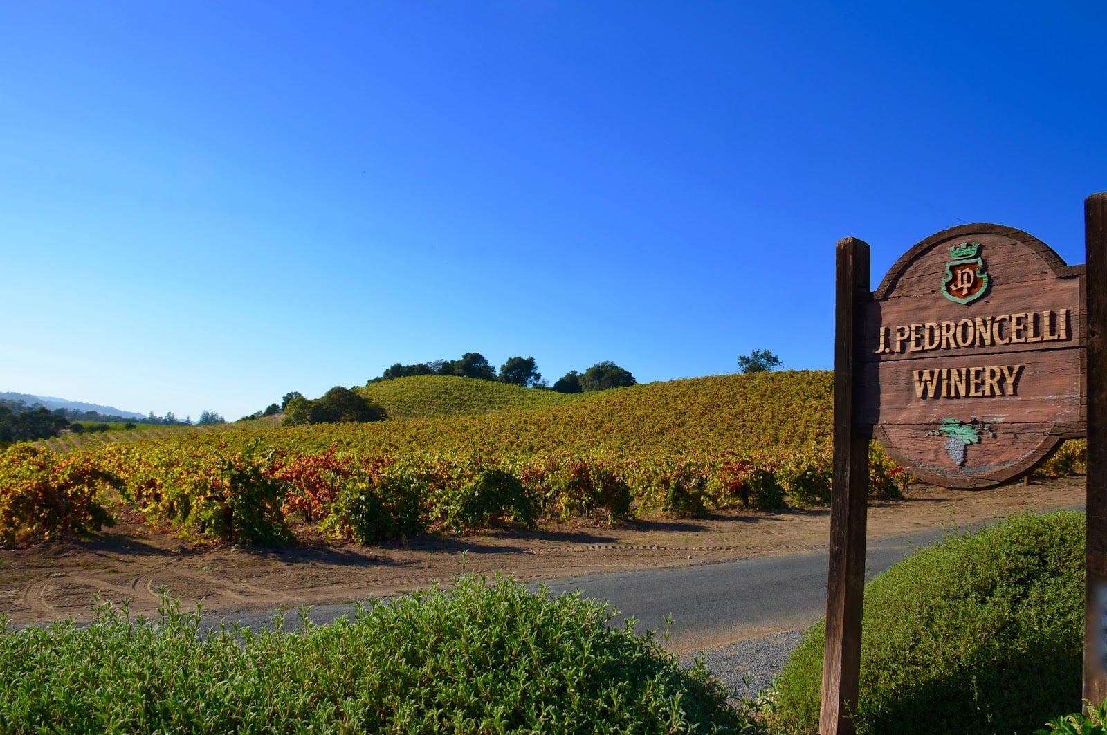 Pedroncelli Winery photo 2