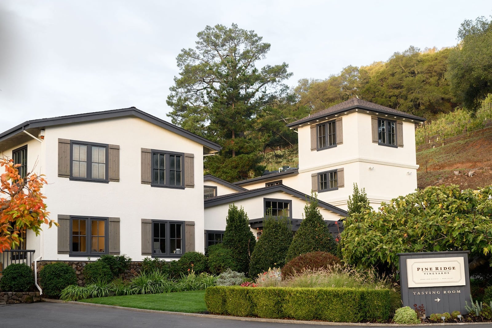 Pine Ridge Vineyards photo 8