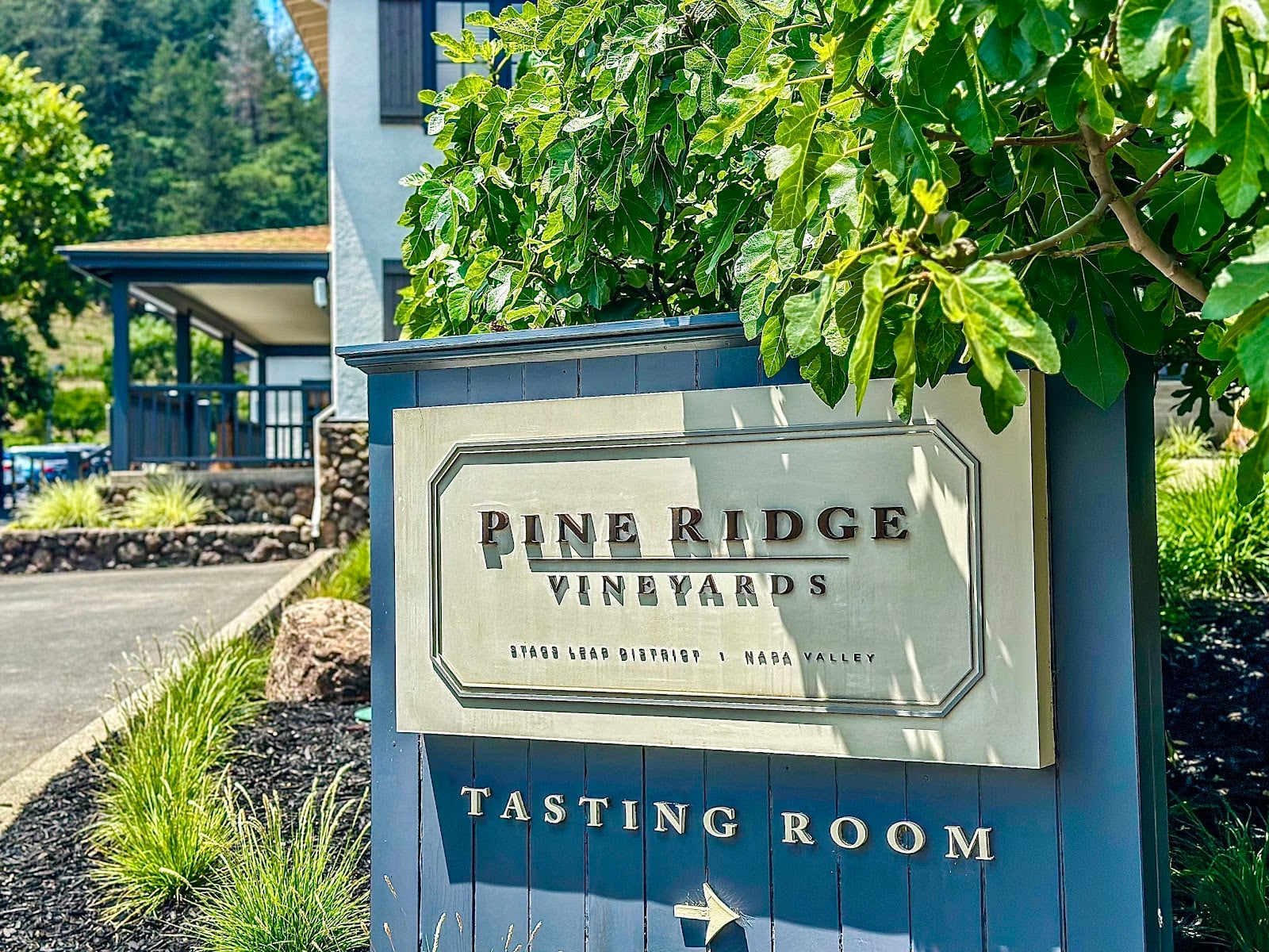Pine Ridge Vineyards photo 2