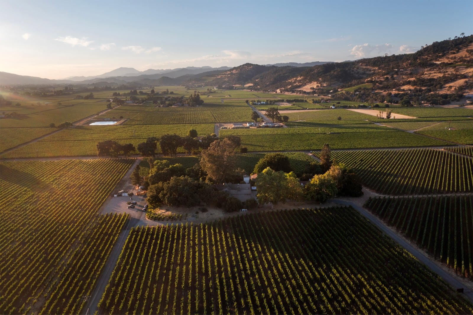 PlumpJack Winery photo 1