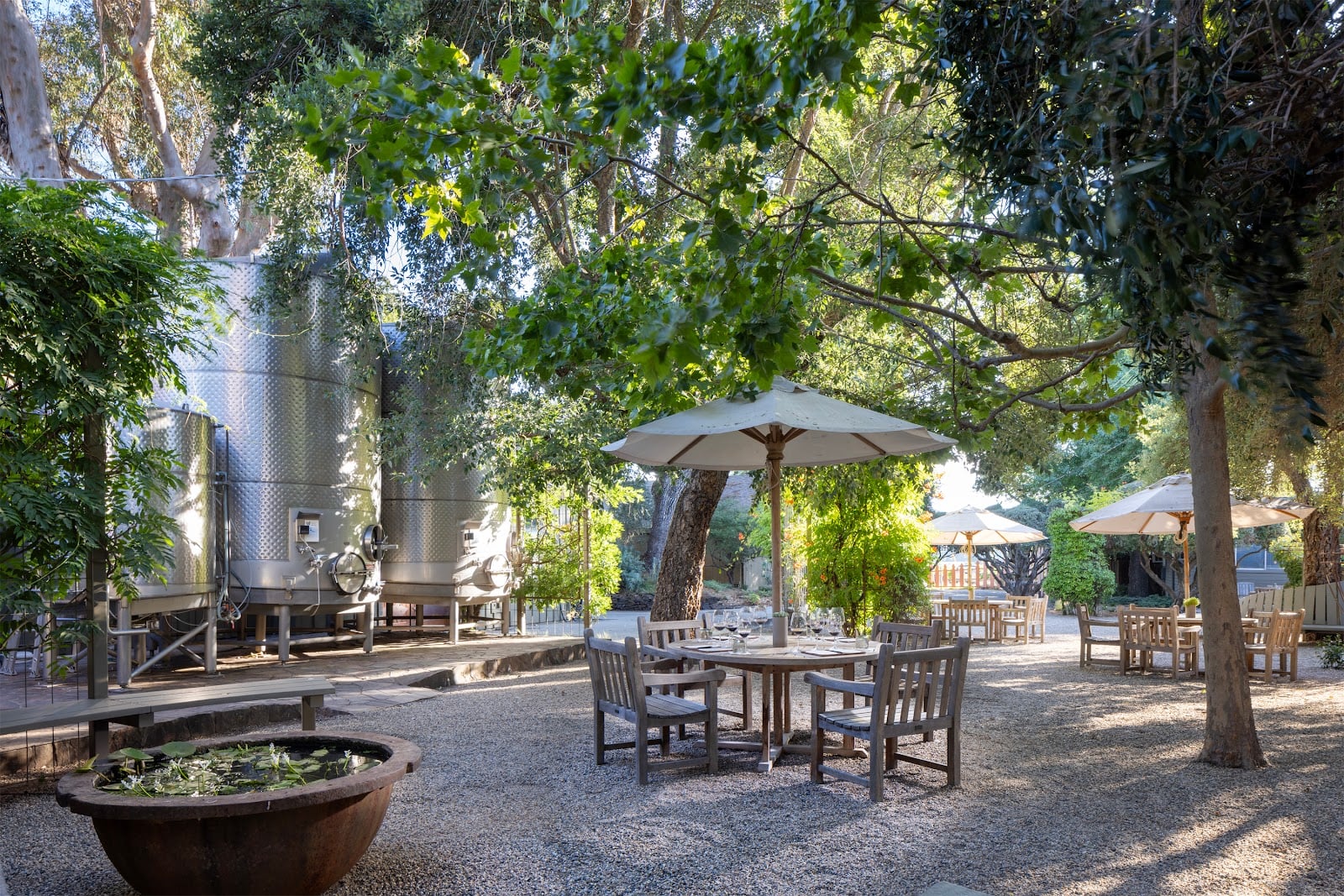 PlumpJack Winery photo 8