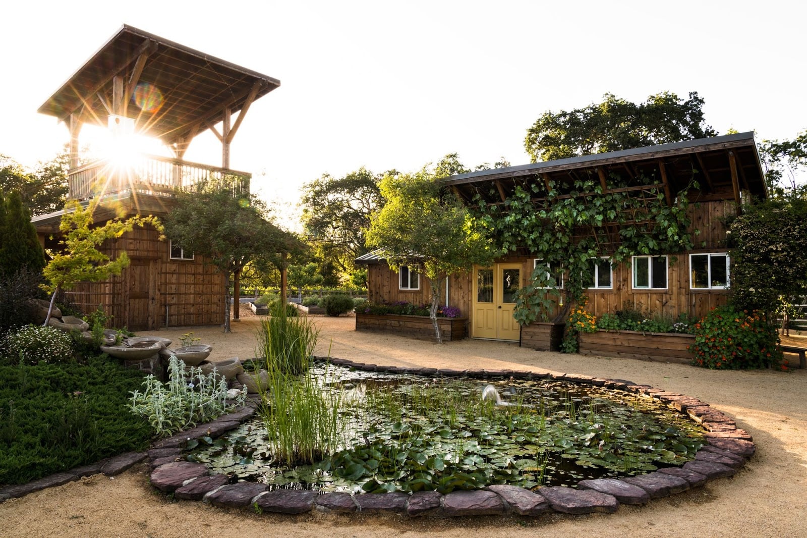 Quivira Vineyards photo 1