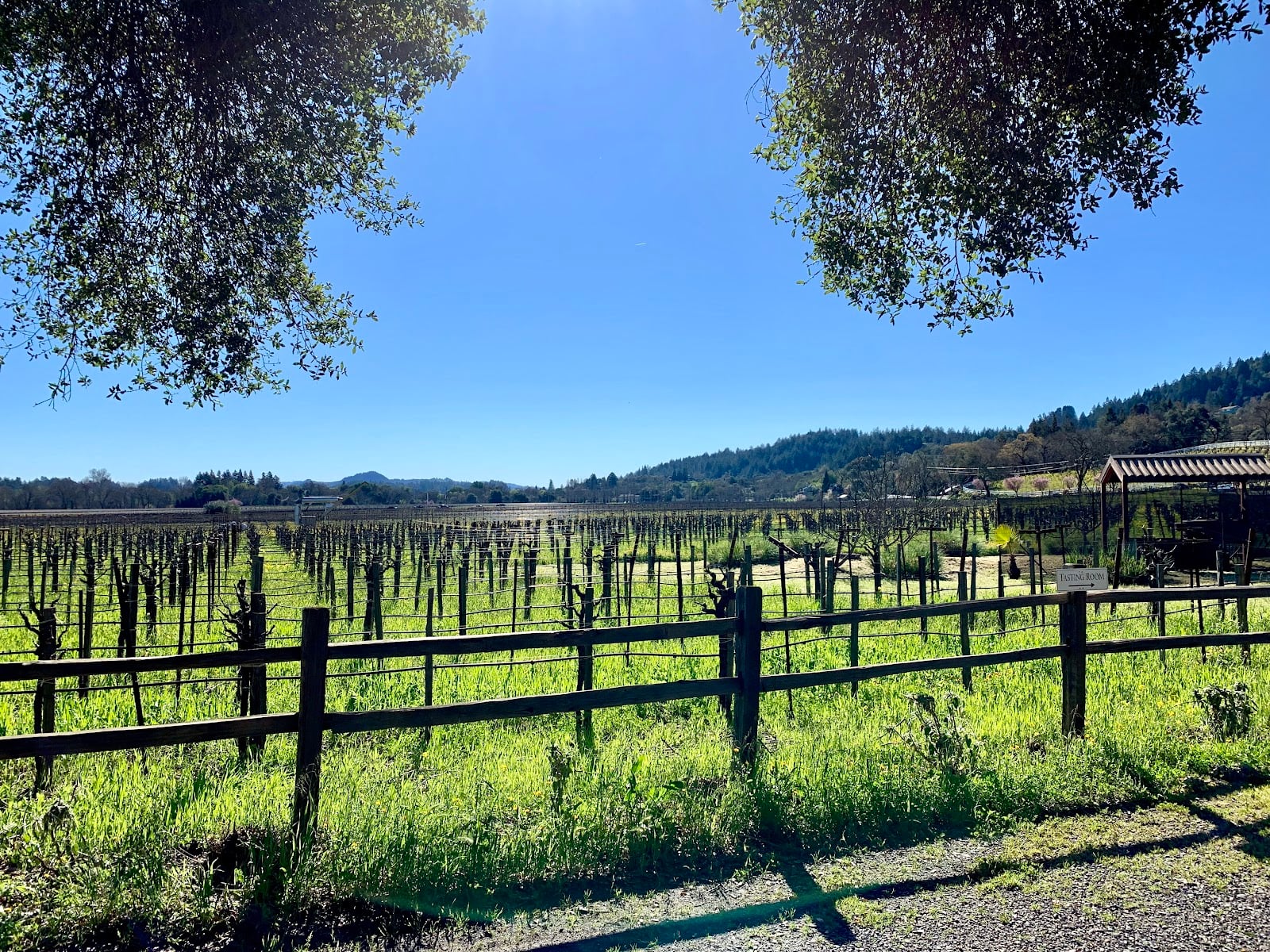 Quivira Vineyards photo 2