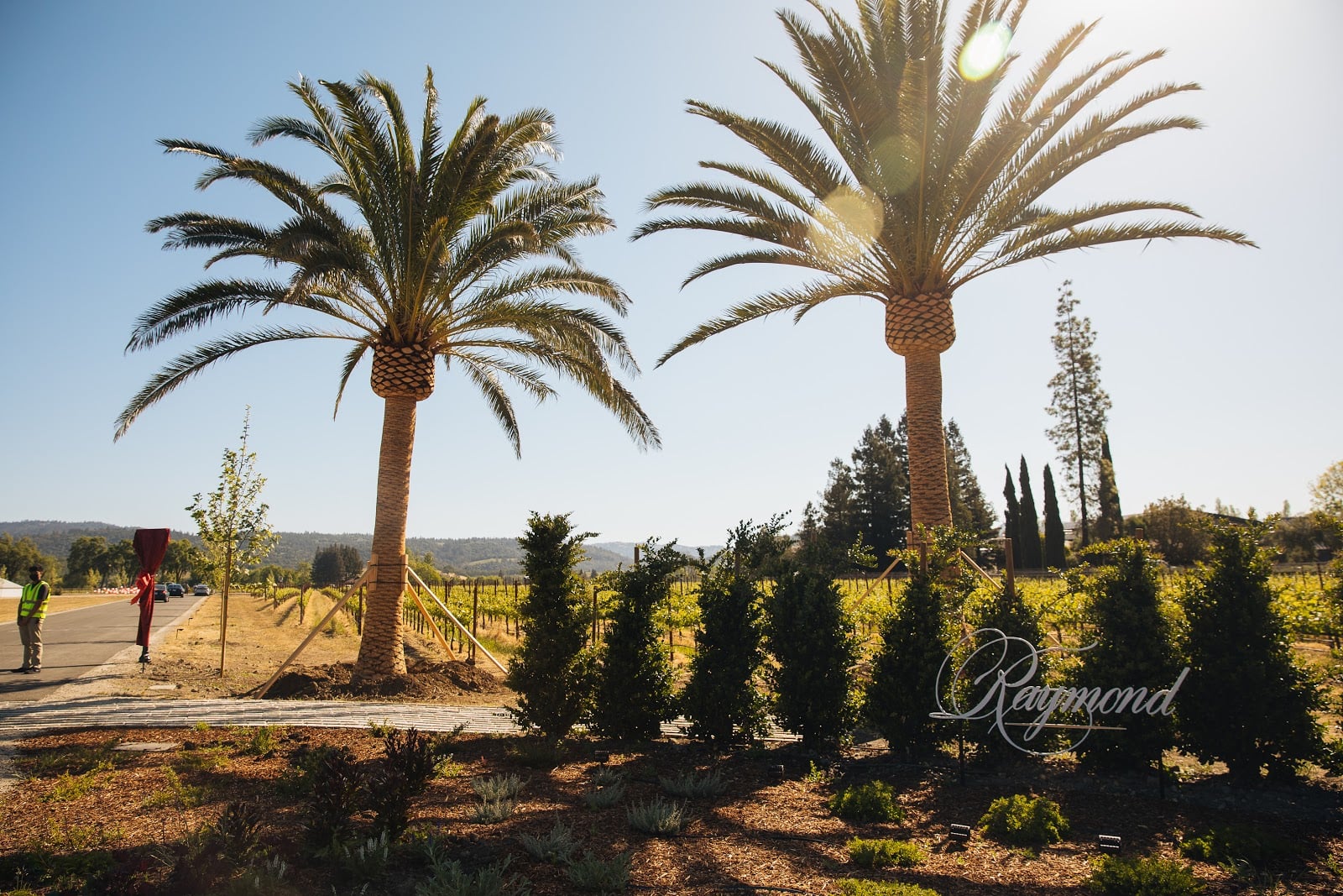 Raymond Vineyards photo 1