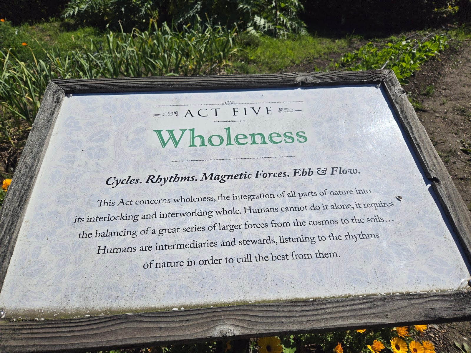 Raymond Vineyards photo 2