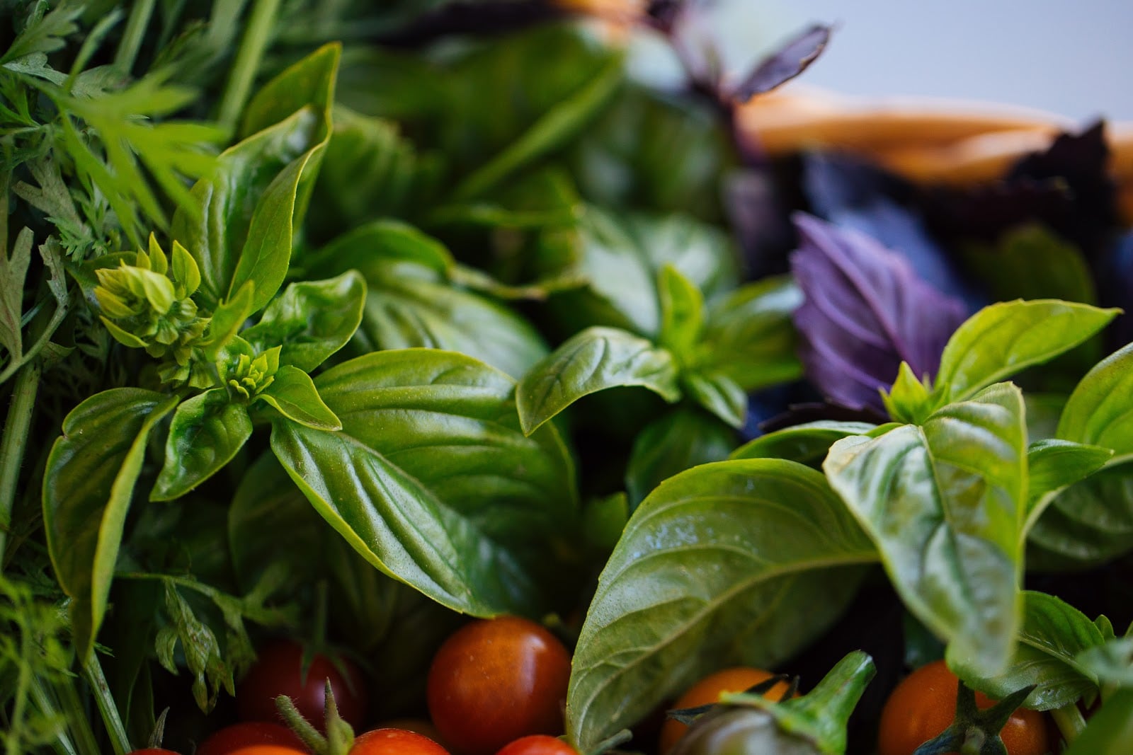 Raymond Vineyards photo 8