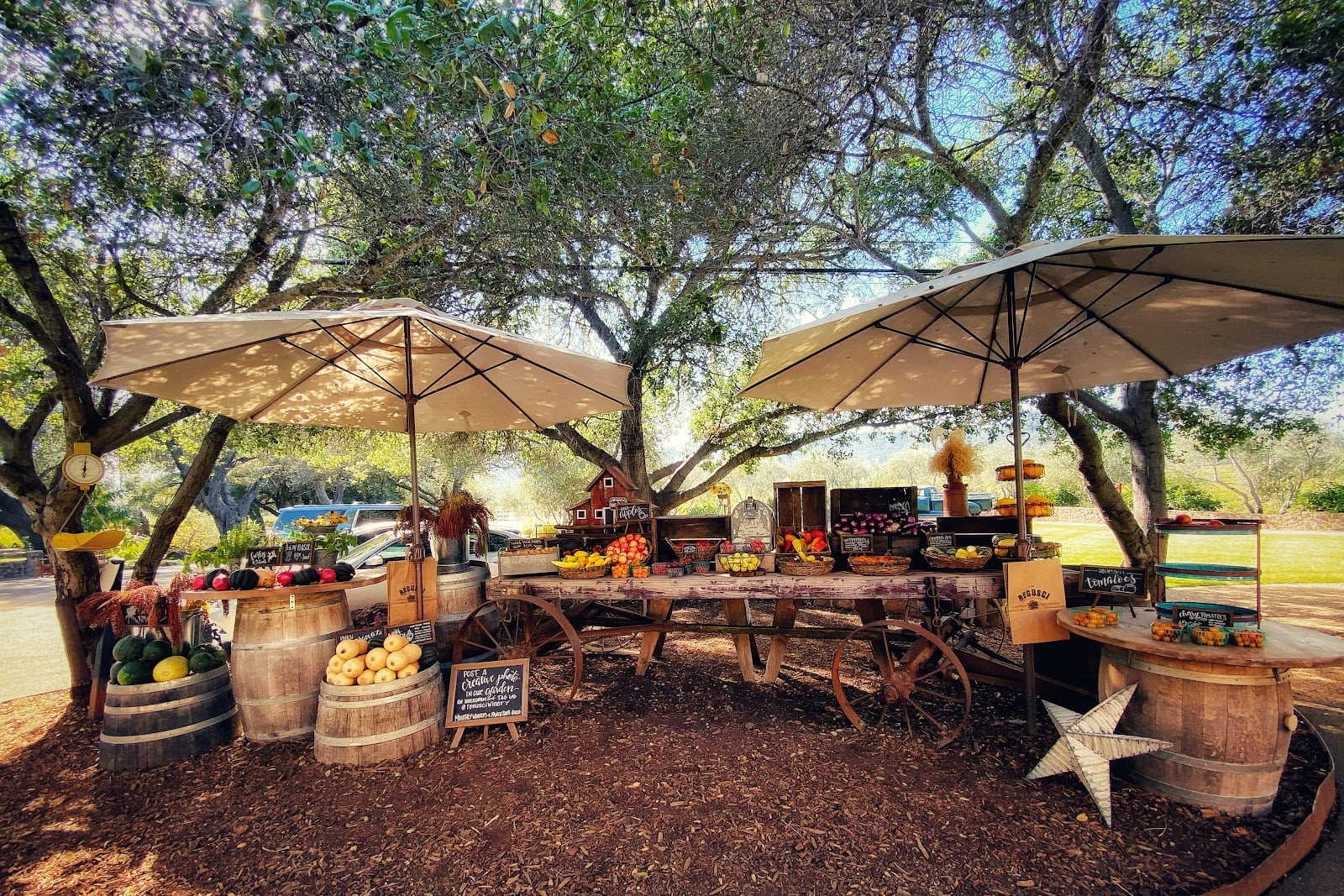 Regusci Winery photo 2