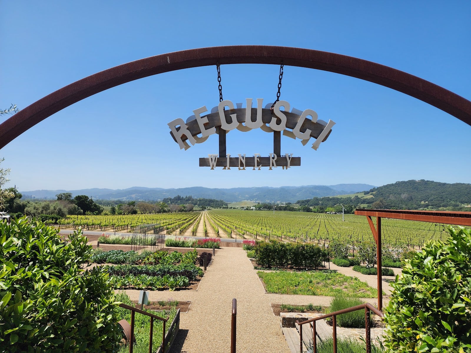 Regusci Winery photo 8