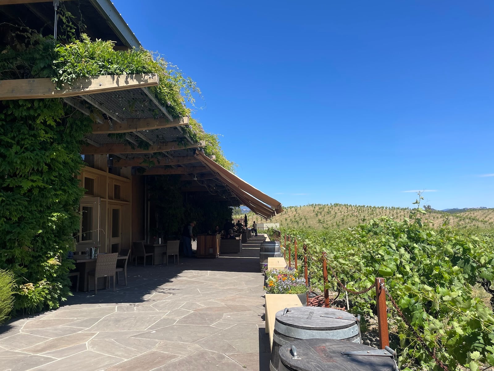 Ridge Vineyards (Lytton Springs) photo 2