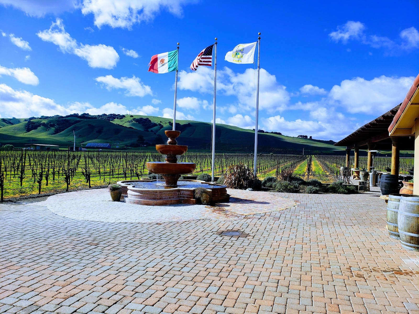 Robledo Family Winery photo 2