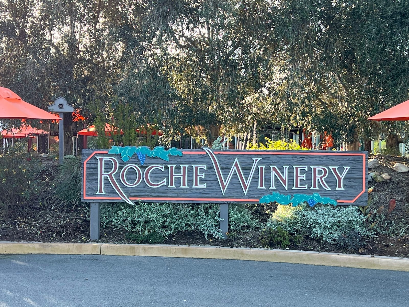Roche Winery & Vineyards photo 8