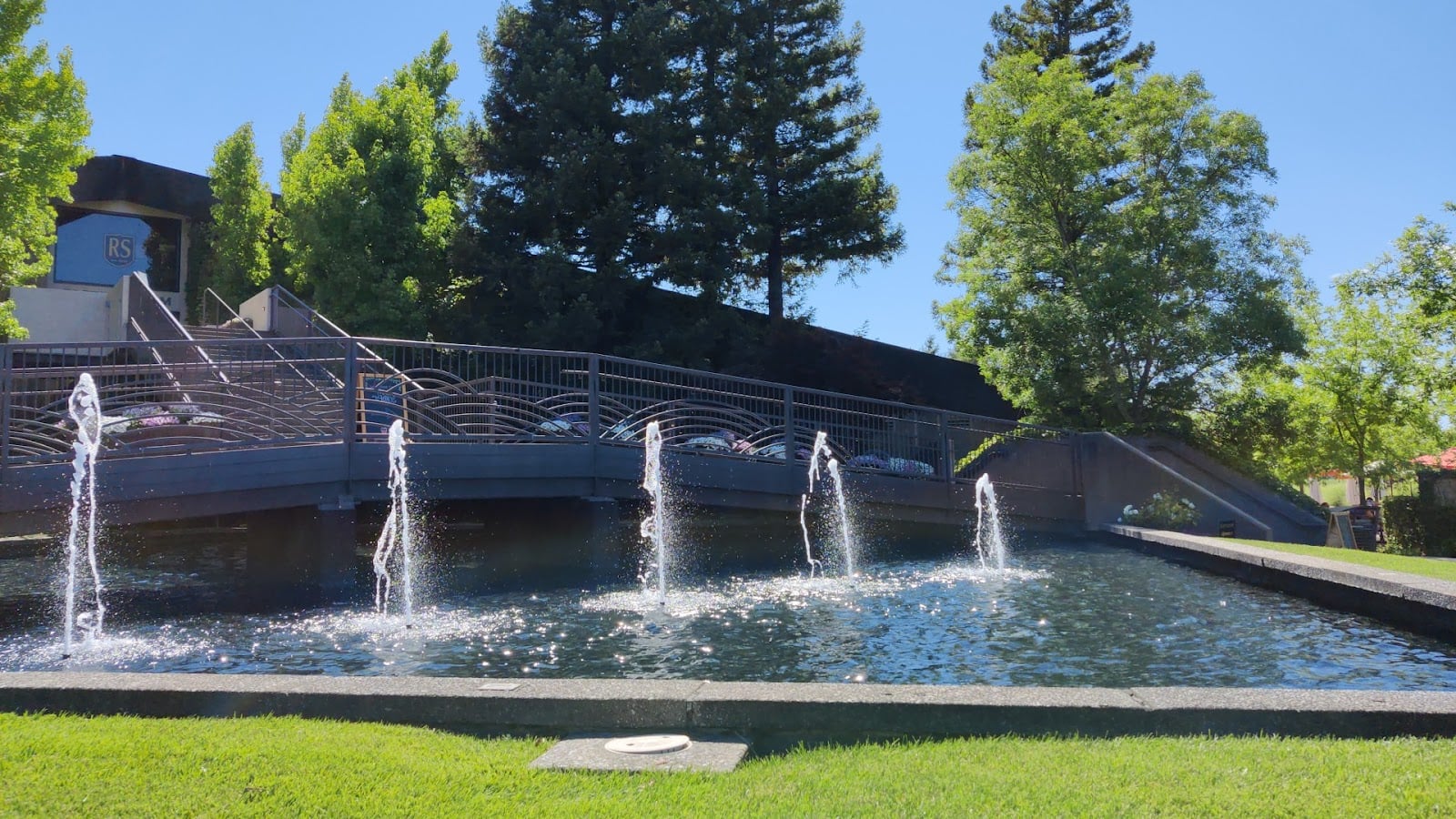 Rodney Strong Vineyards photo 2