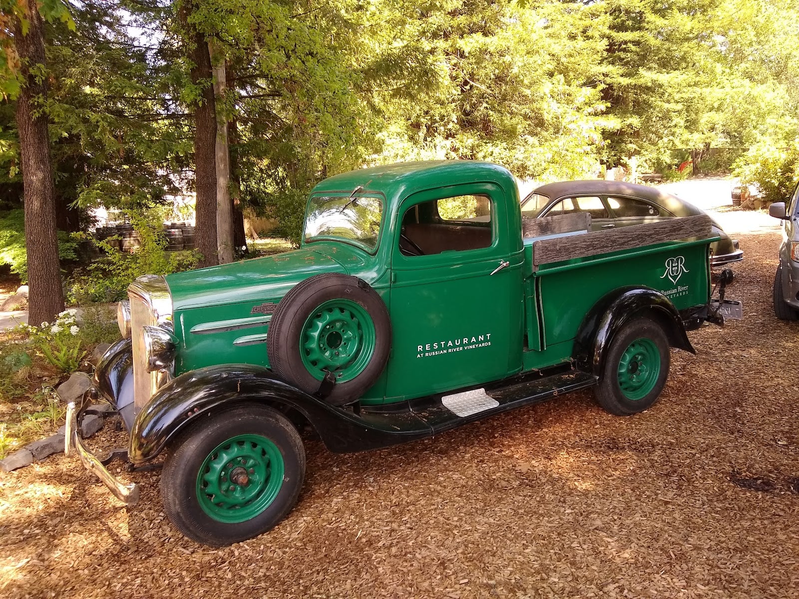 Russian River Vineyards photo 8